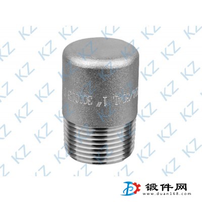 供應(yīng)各種熱銷(xiāo)高壓不銹鋼鍛件