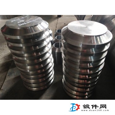 端蓋，法蘭蓋，管接頭，接管等壓力容器鍛件